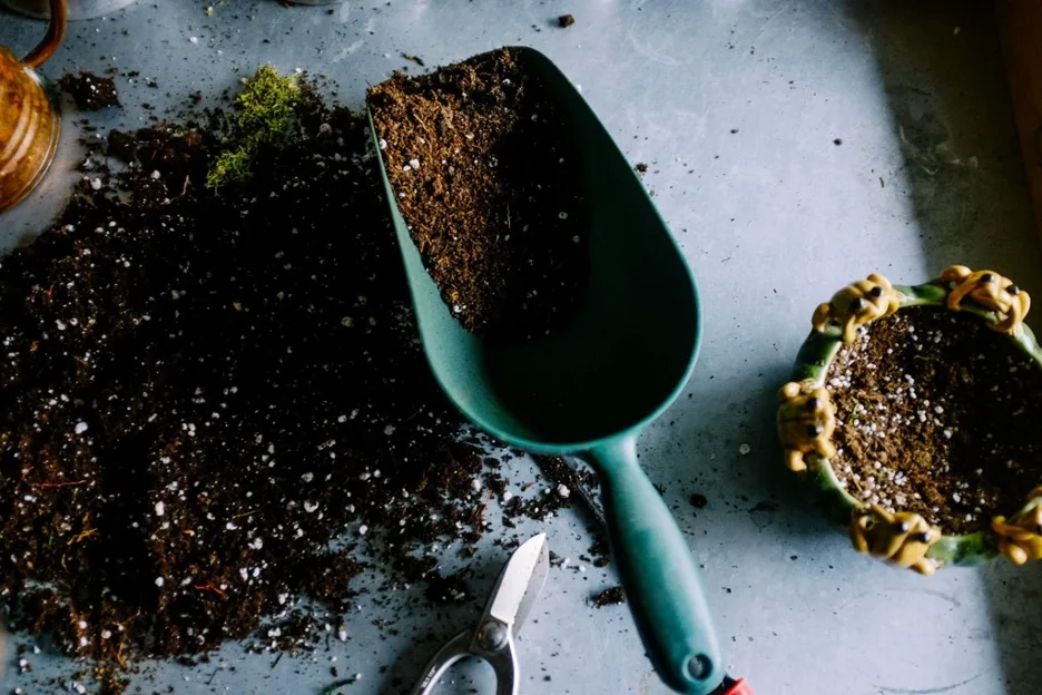 Spring Home Preparation